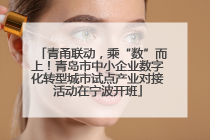 青甬联动，乘“数”而上！青岛市中小企业数字化转型城市试点产业对接活动在宁波开班
