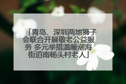 青岛、深圳两地狮子会联合开展敬老公益服务 多元举措温暖潮海街道南杨头村老人