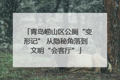 青岛崂山区公厕“变形记” 从隐秘角落到文明“会客厅”