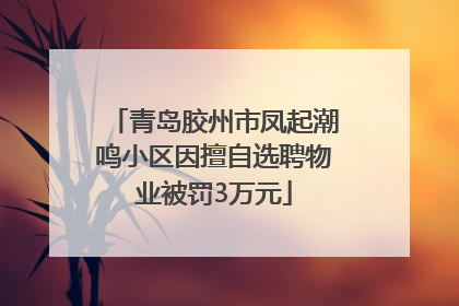 青岛胶州市凤起潮鸣小区因擅自选聘物业被罚3万元