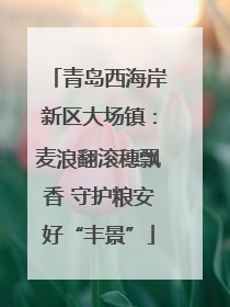 青岛西海岸新区大场镇：麦浪翻滚穗飘香 守护粮安好“丰景”