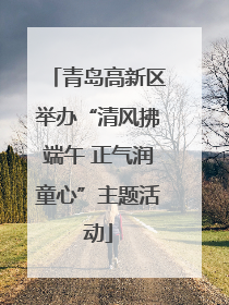 青岛高新区举办“清风拂端午 正气润童心”主题活动