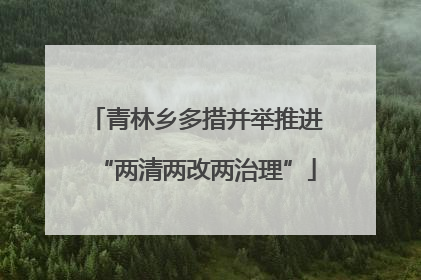 青林乡多措并举推进“两清两改两治理”