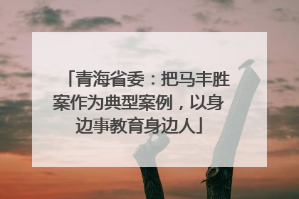 青海省委：把马丰胜案作为典型案例，以身边事教育身边人