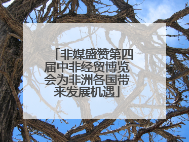 非媒盛赞第四届中非经贸博览会为非洲各国带来发展机遇
