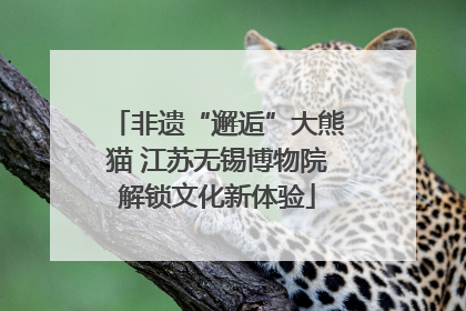 非遗“邂逅”大熊猫 江苏无锡博物院解锁文化新体验