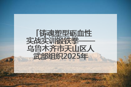 铸魂塑型砺血性 实战实训锻铁拳——乌鲁木齐市天山区人武部组织2025年度民兵集中轮训