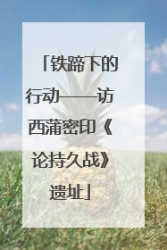 铁蹄下的行动——访西蒲密印《论持久战》遗址