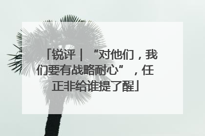 锐评｜“对他们，我们要有战略耐心”，任正非给谁提了醒