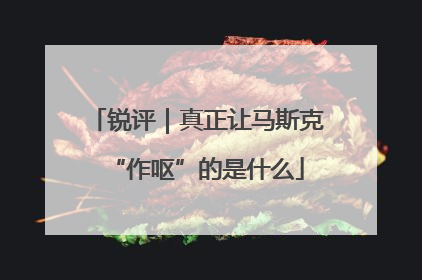 锐评｜真正让马斯克“作呕”的是什么