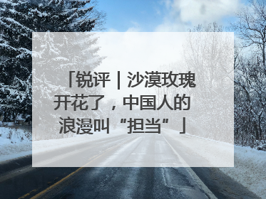 锐评｜沙漠玫瑰开花了，中国人的浪漫叫“担当”