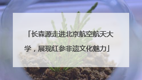 长森源走进北京航空航天大学，展现红参非遗文化魅力