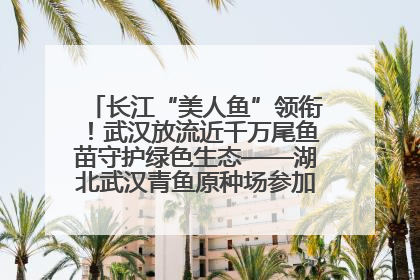 长江“美人鱼”领衔！武汉放流近千万尾鱼苗守护绿色生态——湖北武汉青鱼原种场参加2025年“全国放鱼日”增殖放流活动