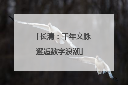 长清：千年文脉邂逅数字浪潮