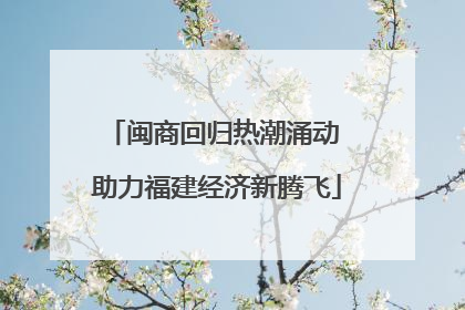 闽商回归热潮涌动 助力福建经济新腾飞