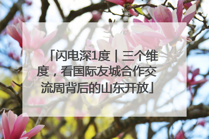 闪电深1度｜三个维度，看国际友城合作交流周背后的山东开放