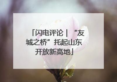 闪电评论｜“友城之桥”托起山东开放新高地