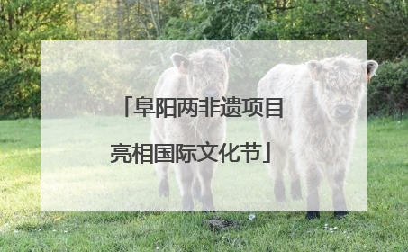 阜阳两非遗项目亮相国际文化节