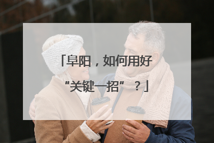阜阳，如何用好“关键一招”？