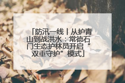 防汛一线丨从护青山到战洪水：常德石门生态护林员开启“双重守护”模式