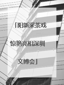 阳新采茶戏惊艳亮相深圳文博会
