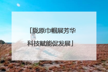 陇原巾帼展芳华 科技赋能促发展