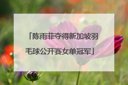 陈雨菲夺得新加坡羽毛球公开赛女单冠军