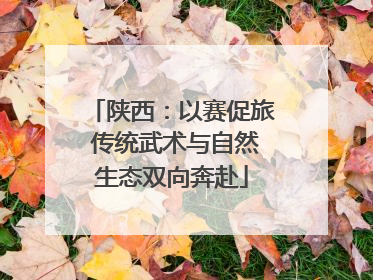 陕西：以赛促旅 传统武术与自然生态双向奔赴