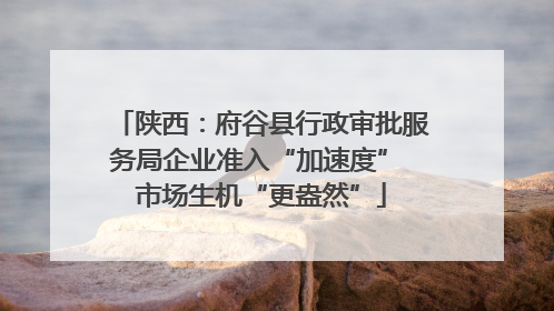 陕西：府谷县行政审批服务局企业准入“加速度” 市场生机“更盎然”