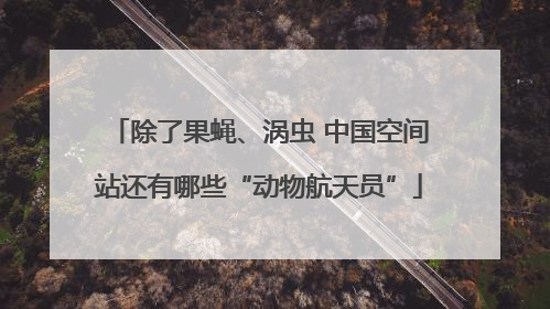 除了果蝇、涡虫 中国空间站还有哪些“动物航天员”