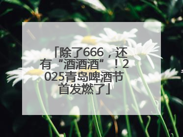 除了666，还有“酒酒酒”！2025青岛啤酒节首发燃了