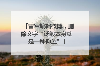 雷军编辑微博，删除文字“诋毁本身就是一种仰望”