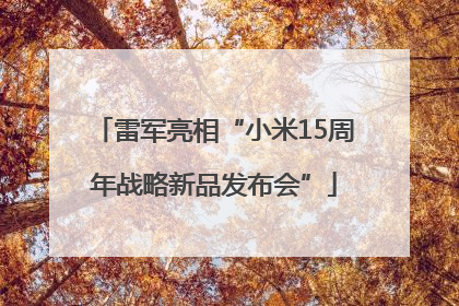 雷军亮相“小米15周年战略新品发布会”
