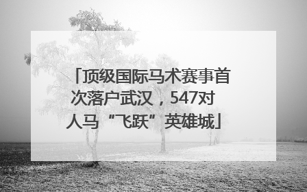 顶级国际马术赛事首次落户武汉，547对人马“飞跃”英雄城
