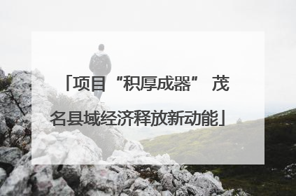项目“积厚成器” 茂名县域经济释放新动能