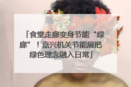 食堂走廊变身节能“绿廊”！嘉兴机关节能展把绿色理念融入日常