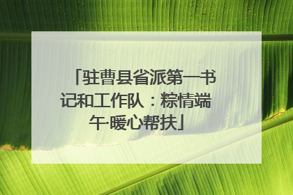 驻曹县省派第一书记和工作队：粽情端午·暖心帮扶