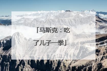 马斯克：吃了儿子一拳