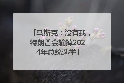马斯克：没有我，特朗普会输掉2024年总统选举
