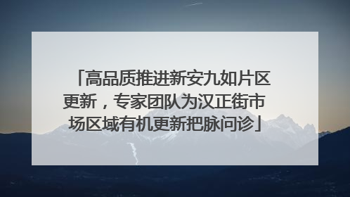 高品质推进新安九如片区更新，专家团队为汉正街市场区域有机更新把脉问诊