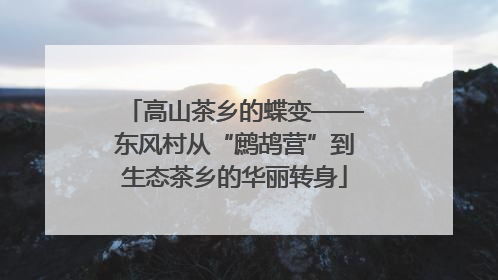 高山茶乡的蝶变——东风村从“鹧鸪营”到生态茶乡的华丽转身
