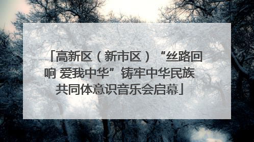 高新区（新市区）“丝路回响 爱我中华”铸牢中华民族共同体意识音乐会启幕
