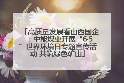 高质量发展看山西国企：中能煤业开展“6·5”世界环境日专题宣传活动 共筑绿色矿山