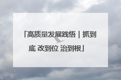 高质量发展践悟｜抓到底 改到位 治到根