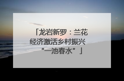 龙岩新罗：兰花经济激活乡村振兴“一池春水”