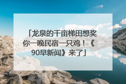 龙泉的千亩梯田想奖你一晚民宿一只鸡！《90早新闻》来了