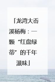 龙湾大岙溪杨梅：一颗“红盘绿蒂”的千年滋味