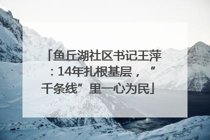 鱼丘湖社区书记王萍：14年扎根基层，“千条线”里一心为民