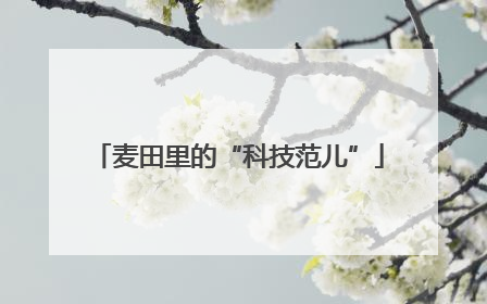 麦田里的“科技范儿”