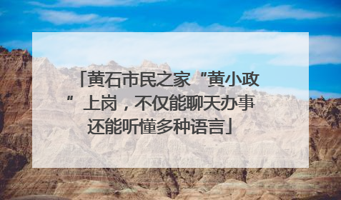 黄石市民之家“黄小政”上岗，不仅能聊天办事还能听懂多种语言